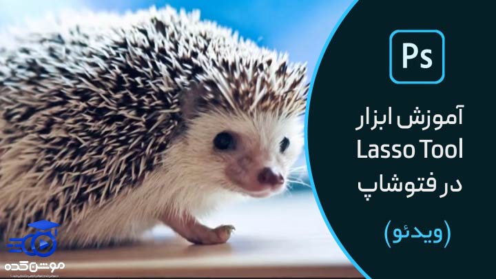 آموزش ابزار Lasso Tool در فتوشاپ